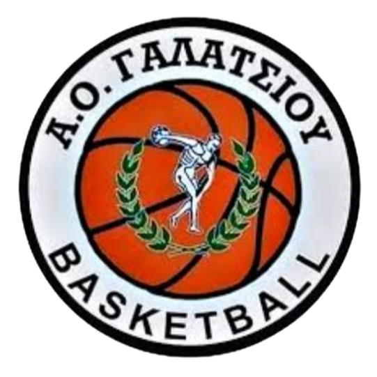 https://img.dianqi8.cn/img/basketball/team/99aa3f28c95a20cc802a5f1a5af87719.png